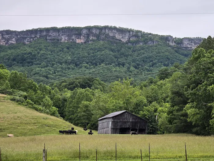 Rock Bottom Horse Camp 1