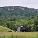 Rock Bottom Horse Camp