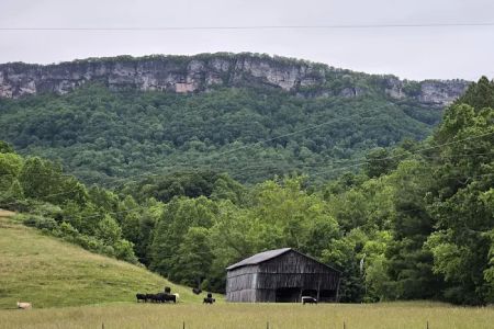 Rock Bottom Horse Camp