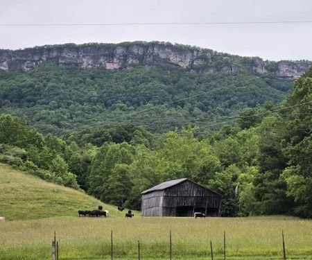 Rock Bottom Horse Camp