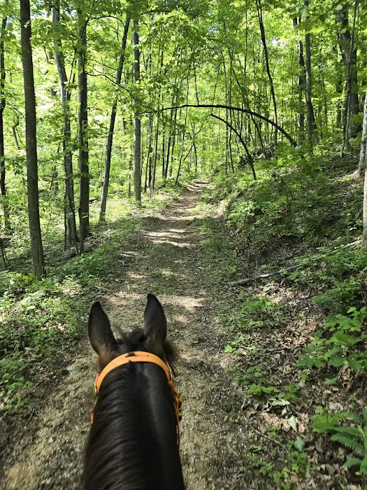 Rock Bottom Horse Camp 3