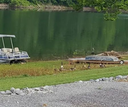 Bunch Hollow Campground & Resort
