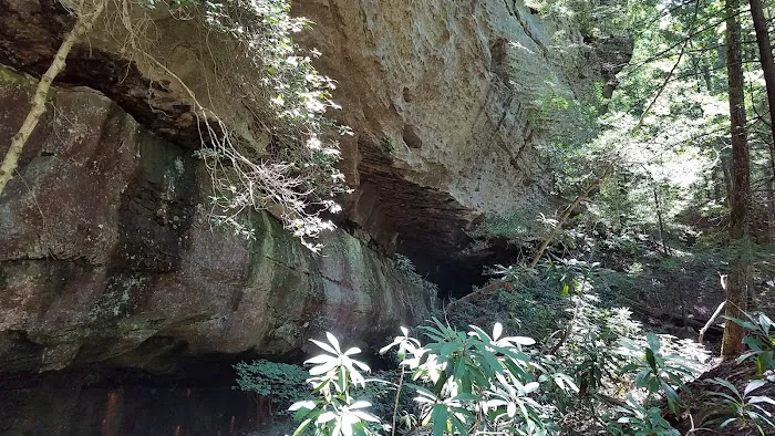 Bear Creek Horse Camp 8