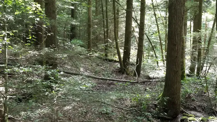 Bear Creek Horse Camp 6