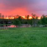 Muddy Pond Campground