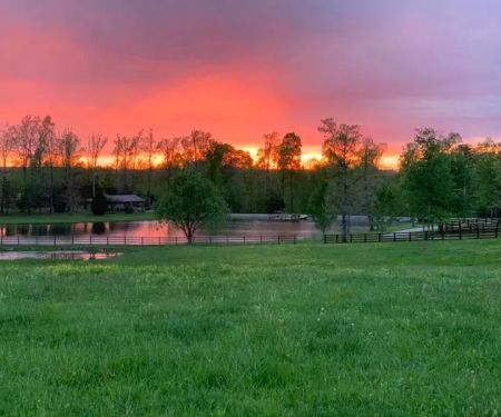 Muddy Pond Campground
