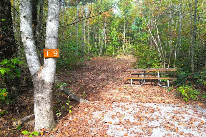 Spacious Skies Campgrounds - Belle Ridge 5