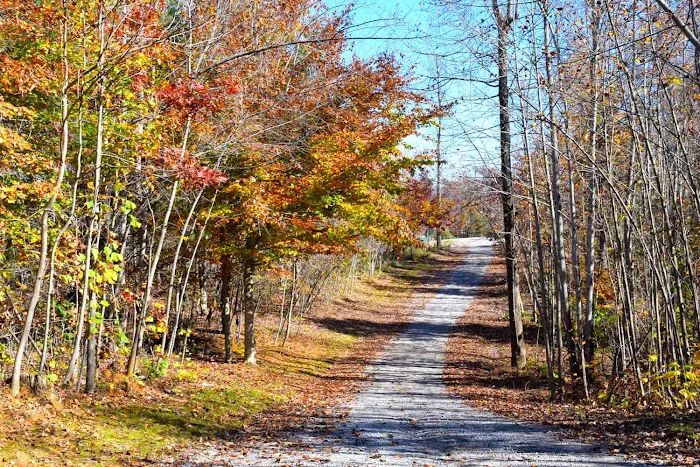 Spacious Skies Campgrounds - Belle Ridge 8