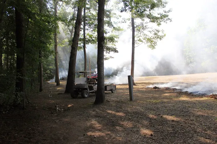 Davy Crockett Campground 3
