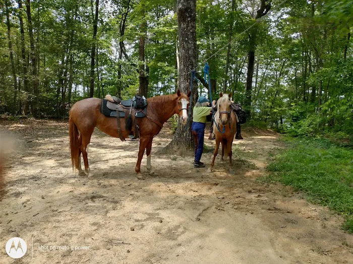 East Fork Stables & Campground 8