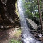 East Fork Stables & Campground