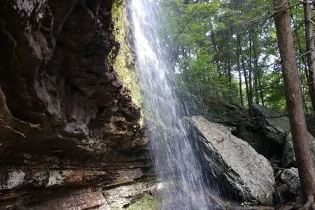 East Fork Stables & Campground