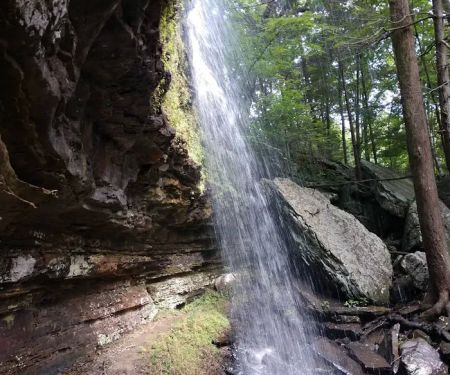 East Fork Stables & Campground