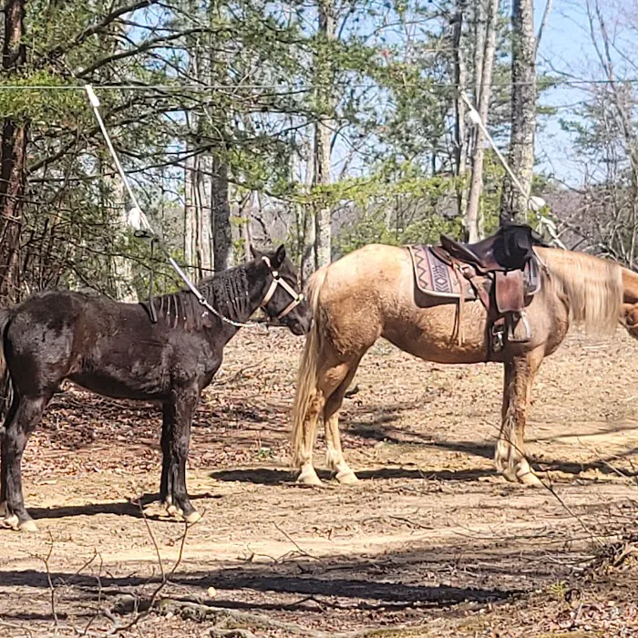 East Fork Stables & Campground 4