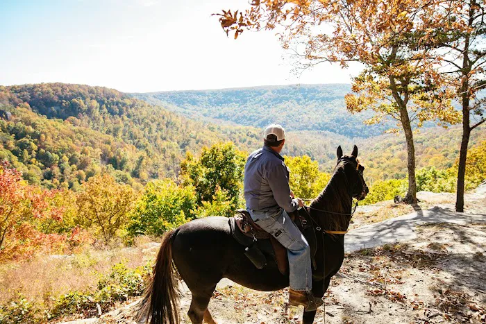 East Fork Stables & Campground 6