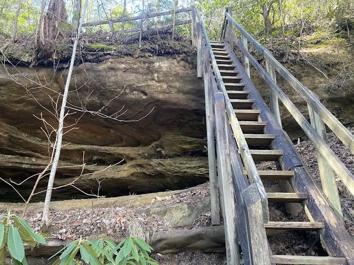 Bandy Creek Campground 10