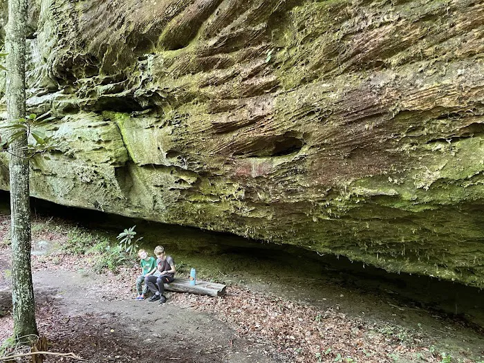 Bandy Creek Campground 6