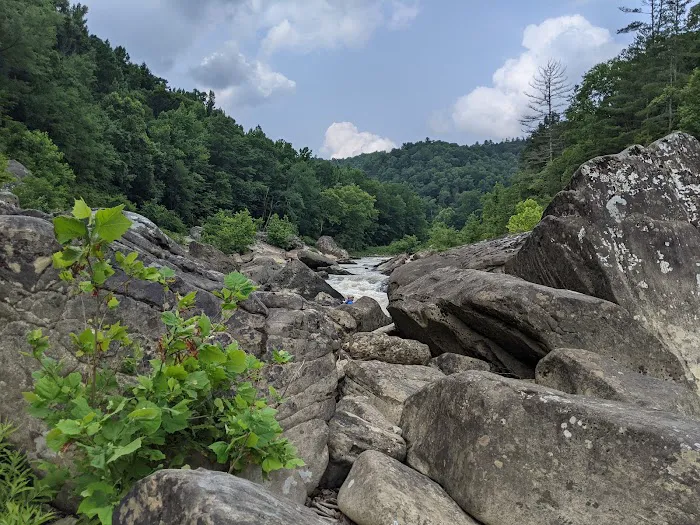 Bandy Creek Campground 3