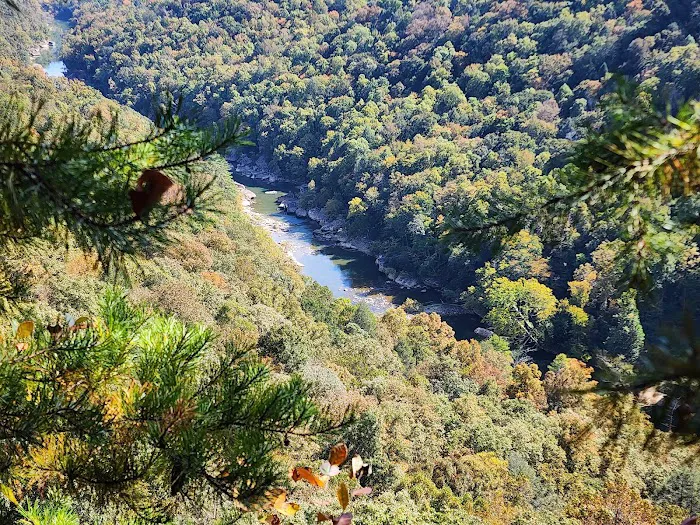 Bandy Creek Campground 9