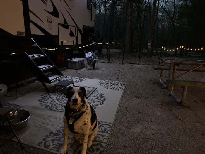 Bandy Creek Group Campground 4
