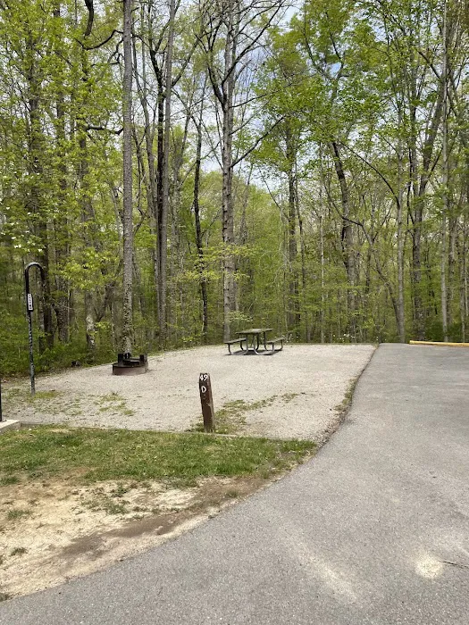 Bandy Creek Group Campground 8