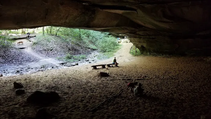 Bandy Creek Group Campground 9