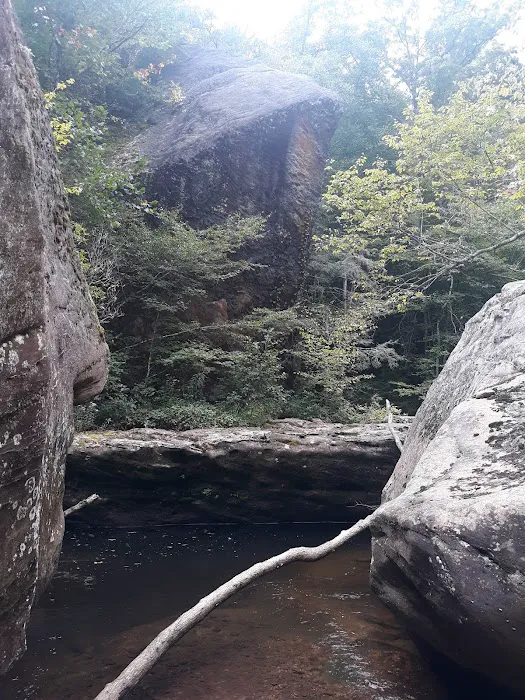 Great Meadows Campground 2
