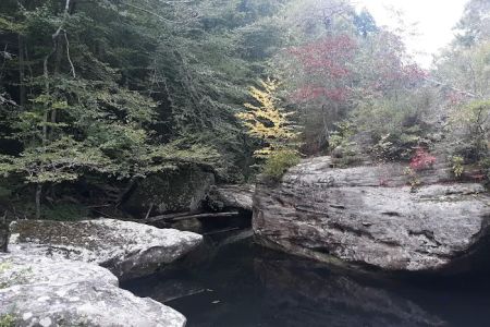 Great Meadows Campground