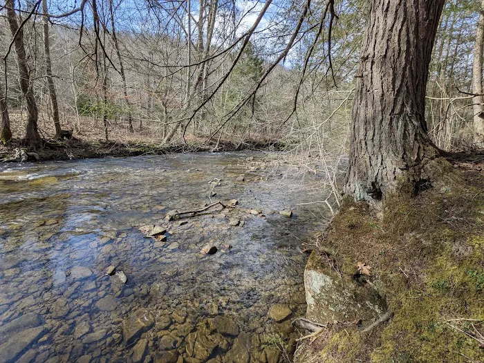 Great Meadows Campground 9