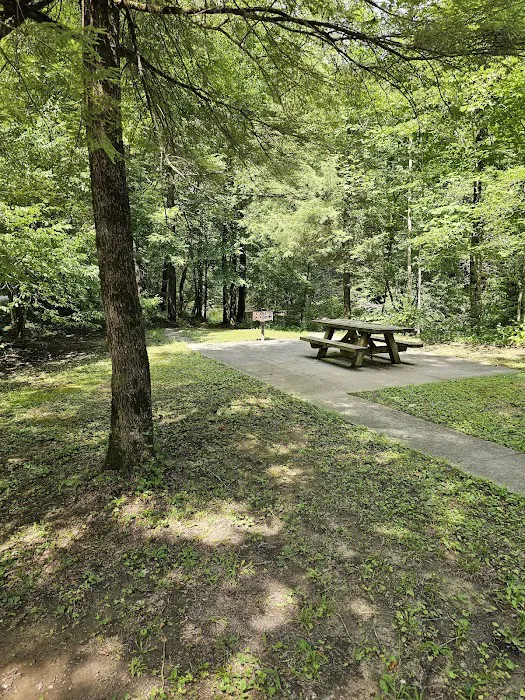Great Meadows Campground 6