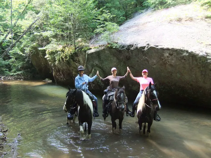 Big Fork Campground 7
