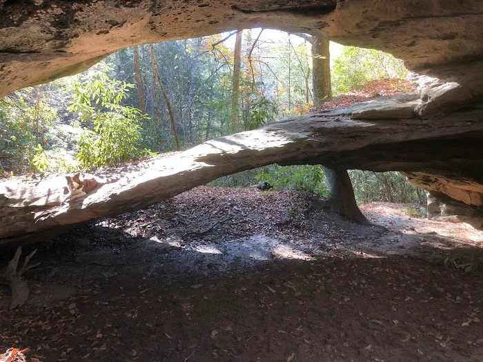 Big Fork Campground 6