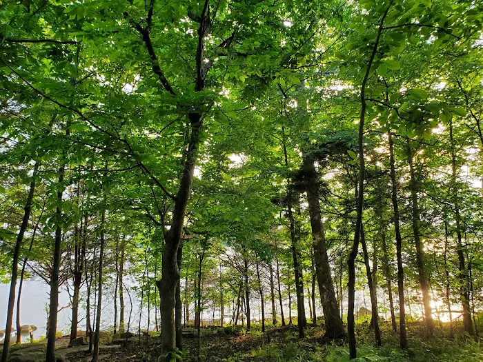 Poole Knobs Campground 10
