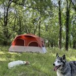 Poole Knobs Campground