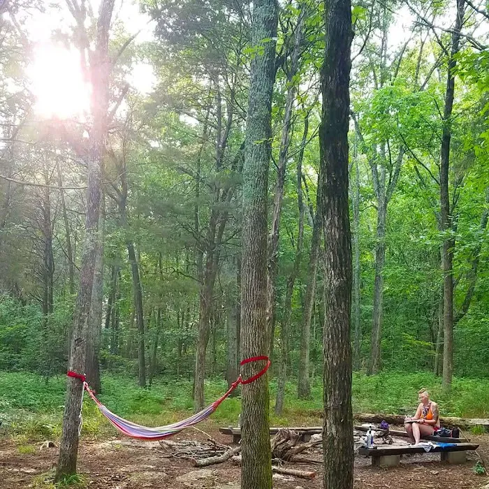 Campsite 2 6