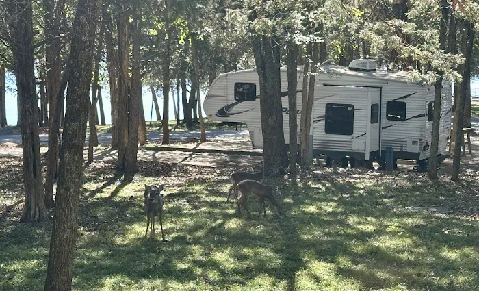 Seven Points Campground 5