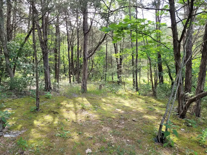 Anderson Road Campground 6
