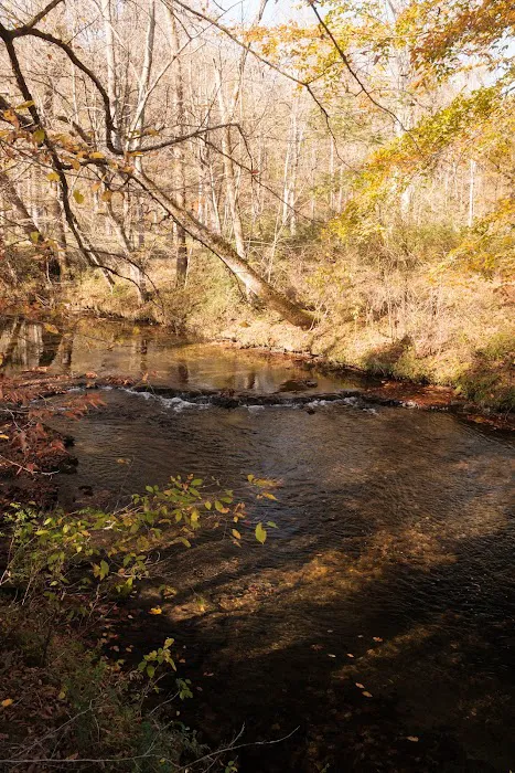 Seven Springs Cabins & RV Sites 9