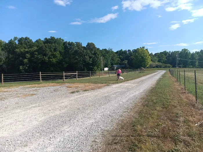 DKH Quarter Horse RV Park 7