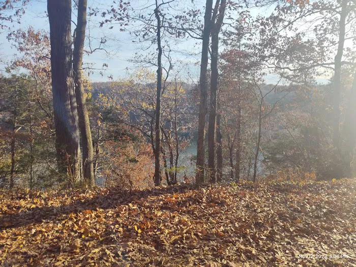 White County Access -Site 20 7