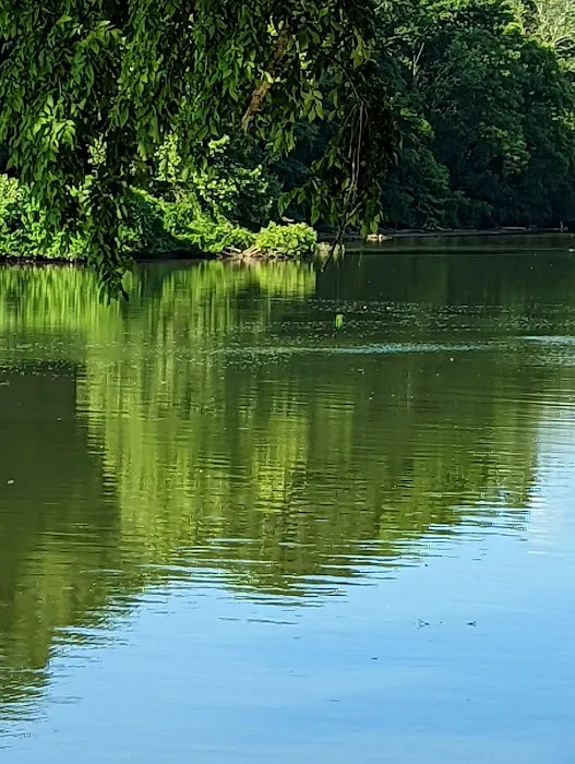 Harpeth River Bridge Campsite 4