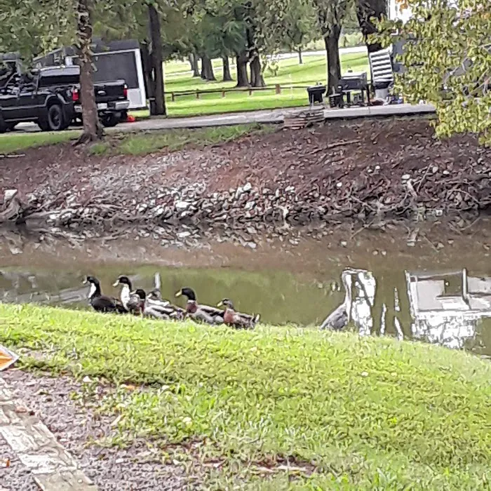 Lock A Campground 10