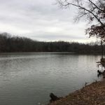 Cypress Creek Marina & Grill