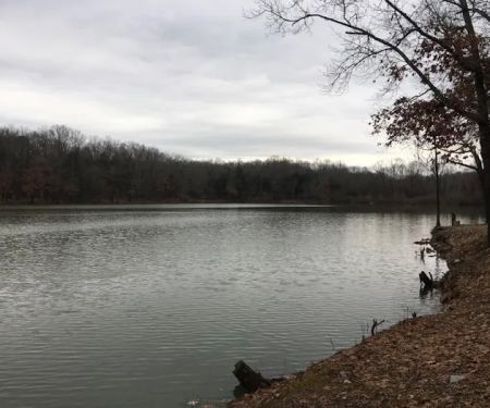 Cypress Creek Marina & Grill