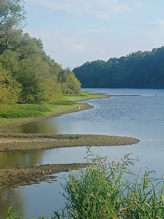 Beech Bend Park 2