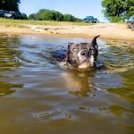 Drop Anchor RV Park