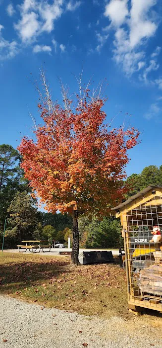 Pin Oak RV Campground 1