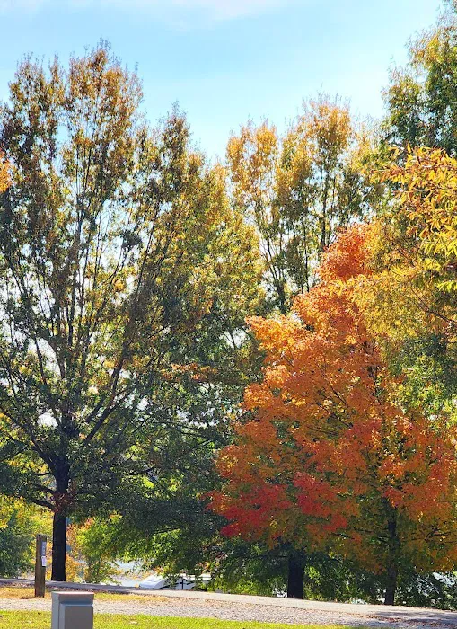 Natchez Trace State Park Campground 3