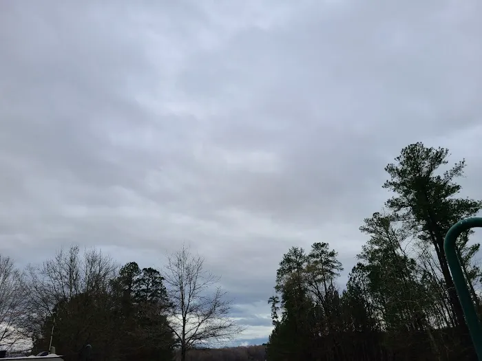 Natchez Trace State Park Campground 4