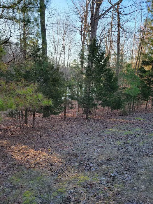 Natchez Trace State Park Campground 8